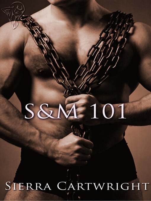 S&M 101 (eBook)